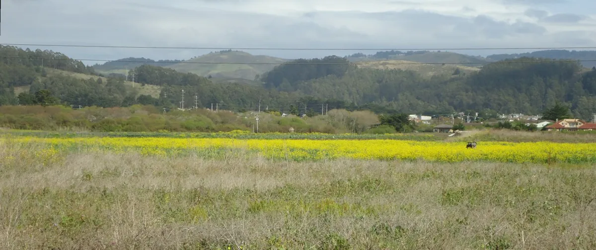 Looking eastwards towards Half-Moon-Bay California in Half Moon Bay, California