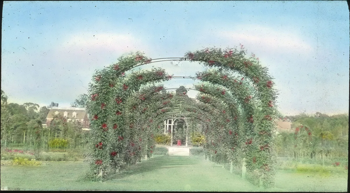 Elizabeth Park Rose Garden - DPLA - cec9d9871335cba8b8235498f1d49a35 in Hartford, Connecticut