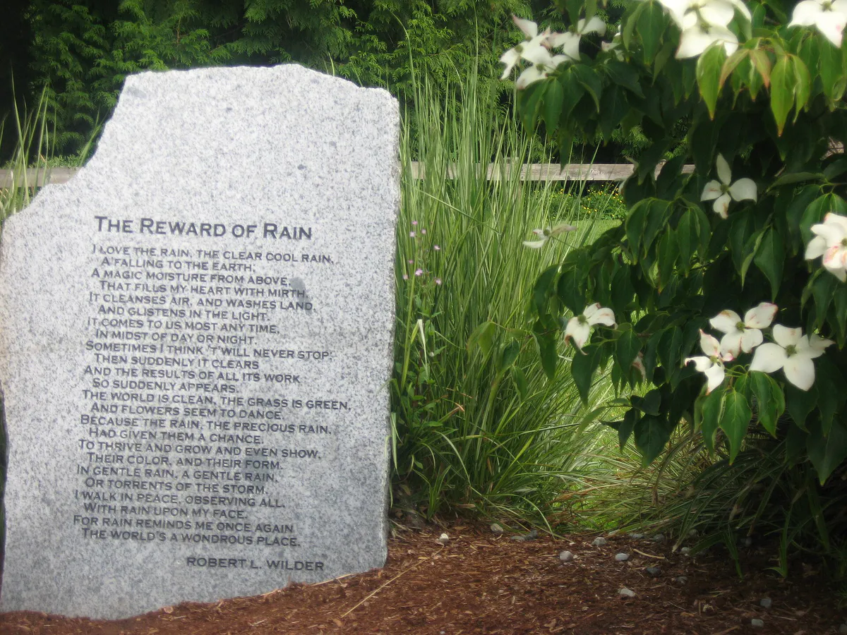 Fancy Stone in Hawthorne Park, California