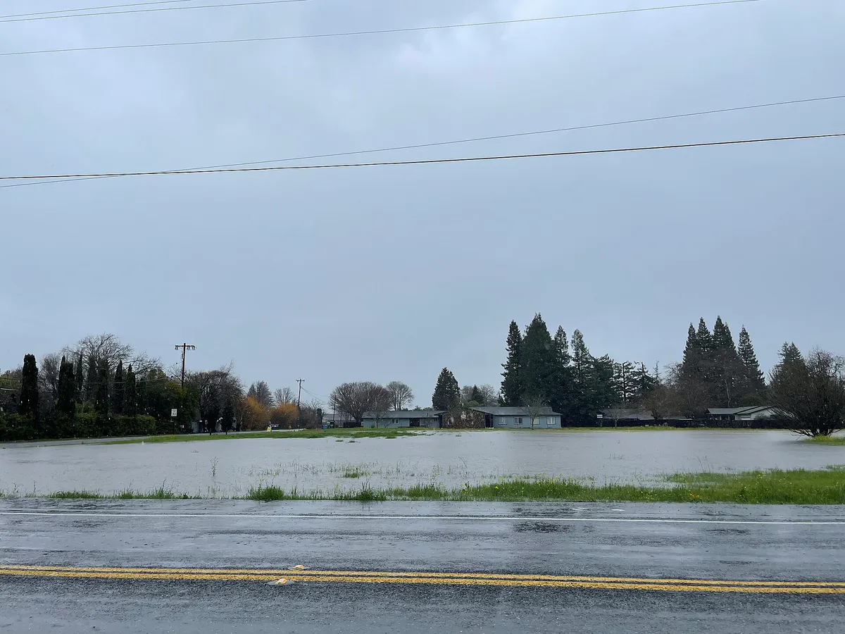 Flooded field in Healdsburg - January 2023 - Sarah Stierch, California