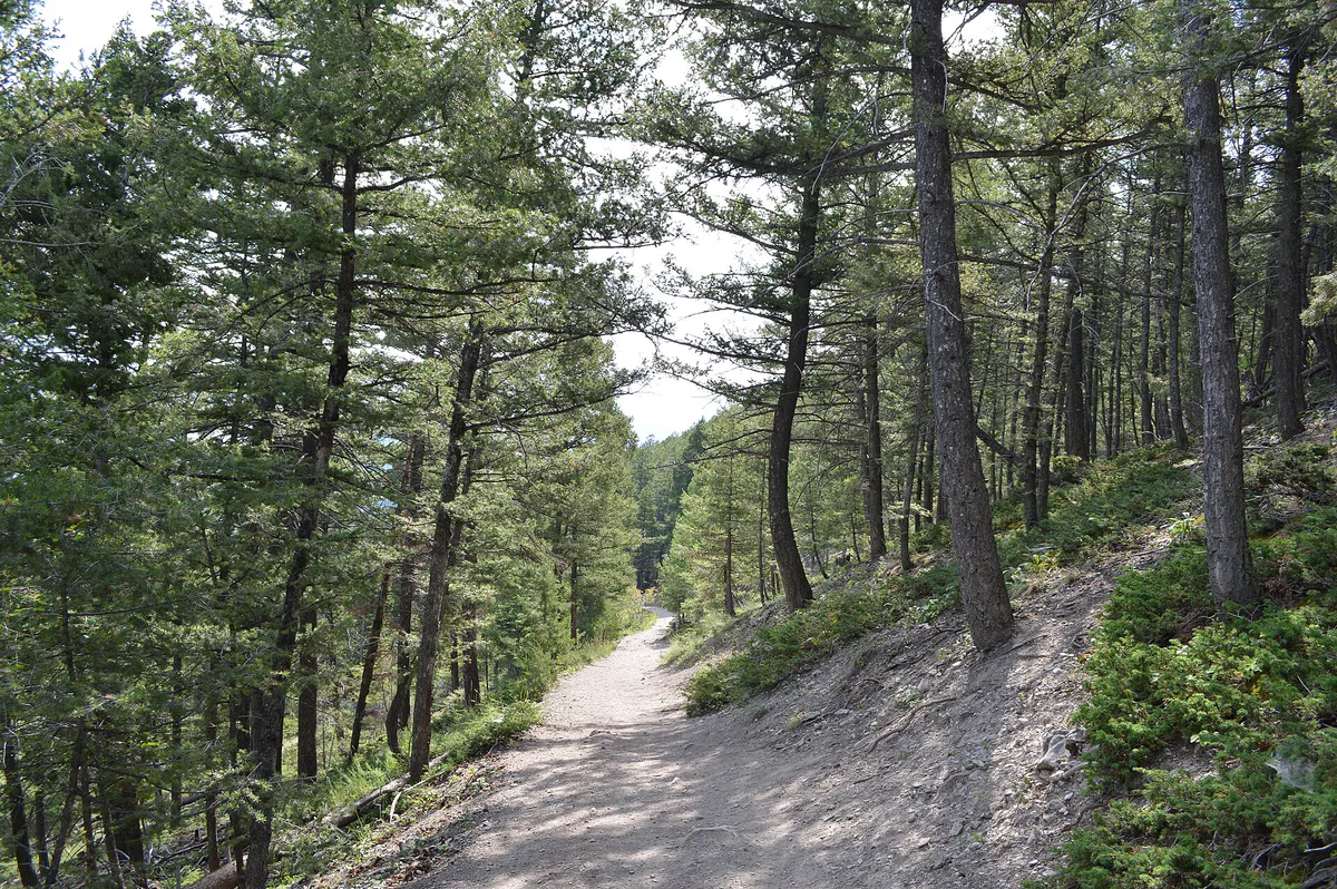 1096TrailMtHelenaCityPark, Montana