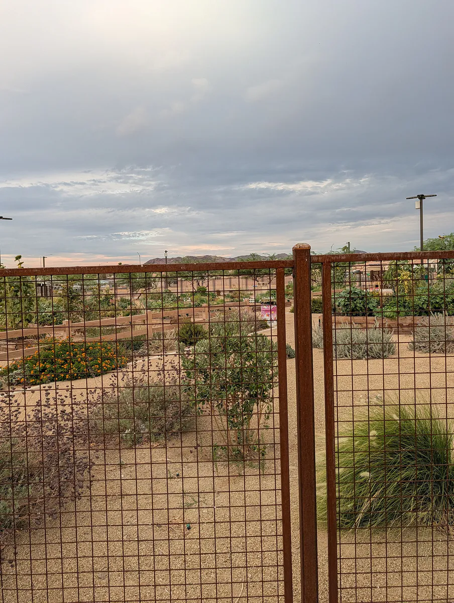 Community garden in Henderson, Nevada