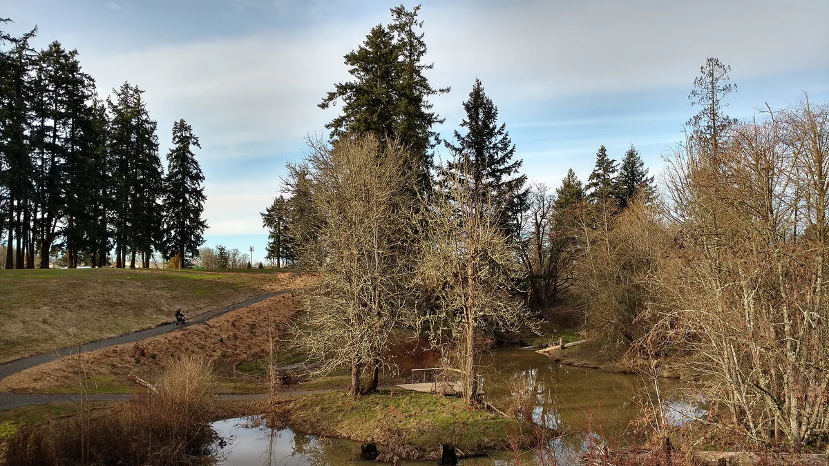 Orenco Woods Nature Park Feb 2017 wetlands - Hillsboro, Oregon