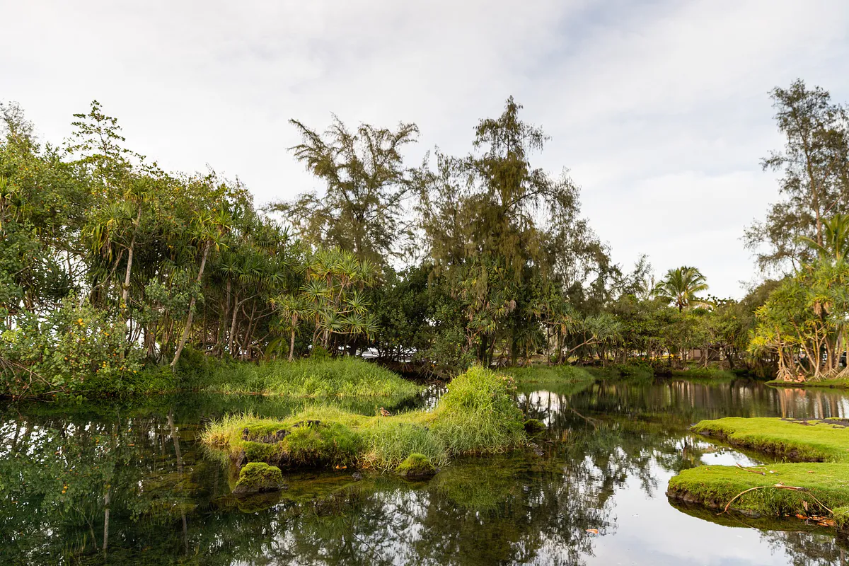Leleiwi Park Hilo Big island Hawaii (44460121010)