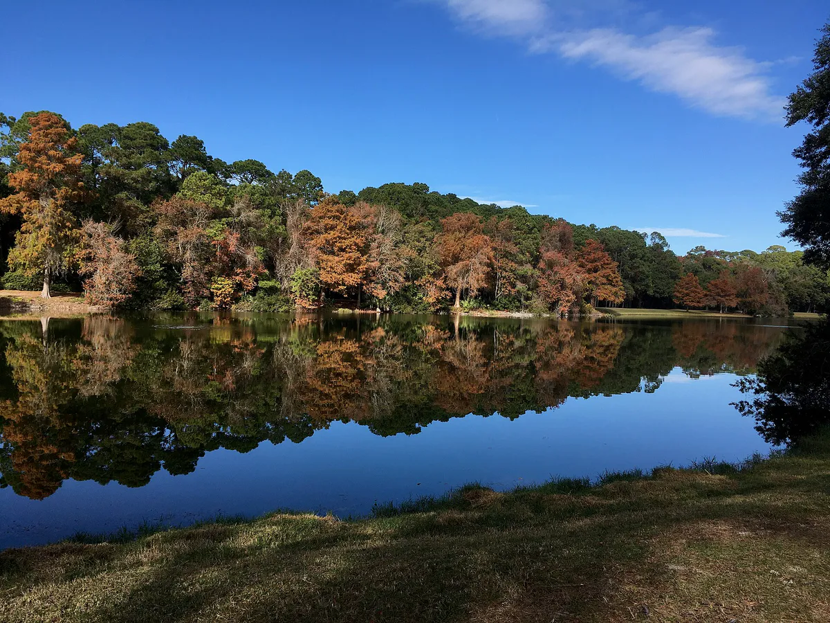 Lake Joe, Sea Pines Forest Preserve, Hilton Head in Hilton Head Island, South Carolina