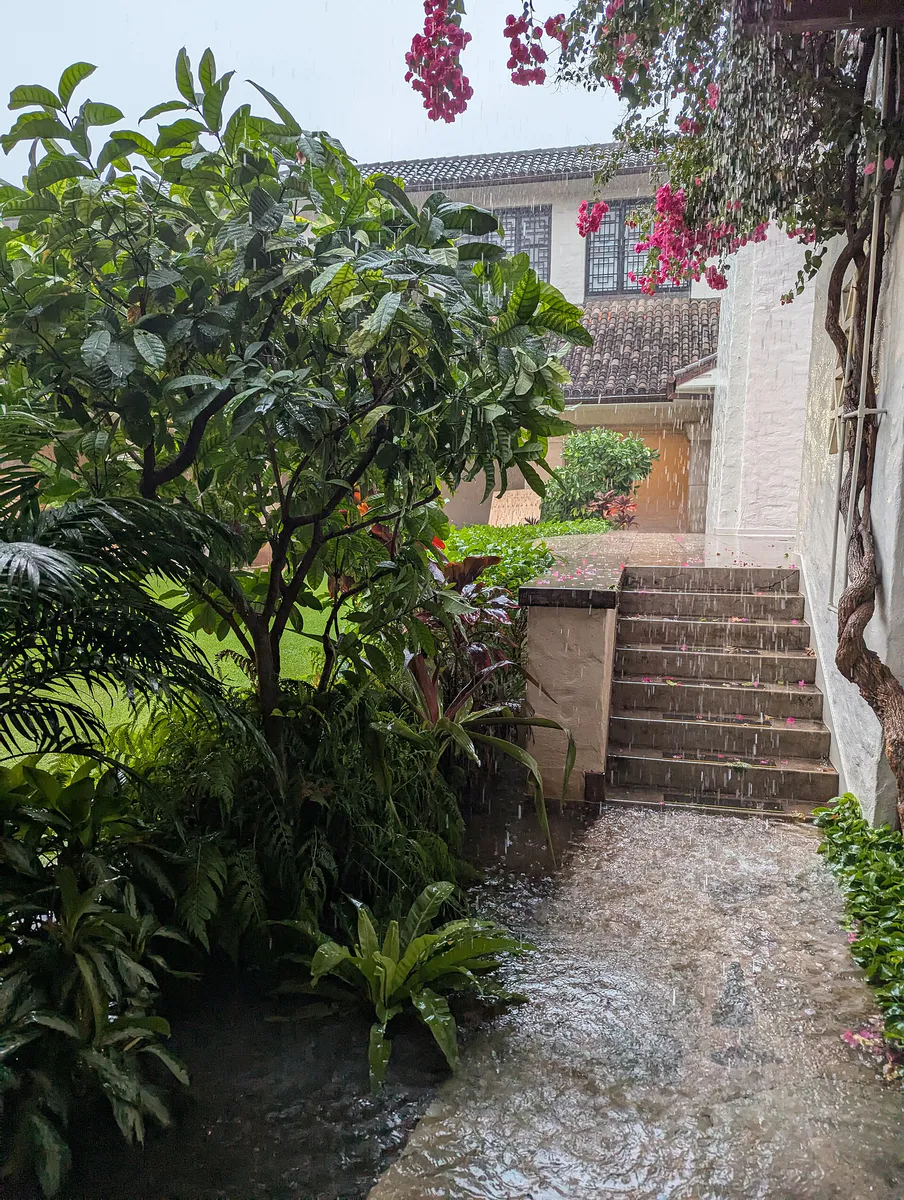 Rain at the Honolulu Museum of Art, Hawaii