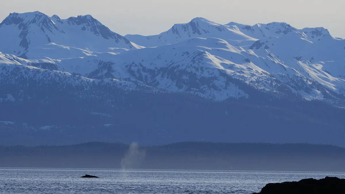 A whale spouts as seen from shore near Point Bridget State Park, Juneau, Alaska