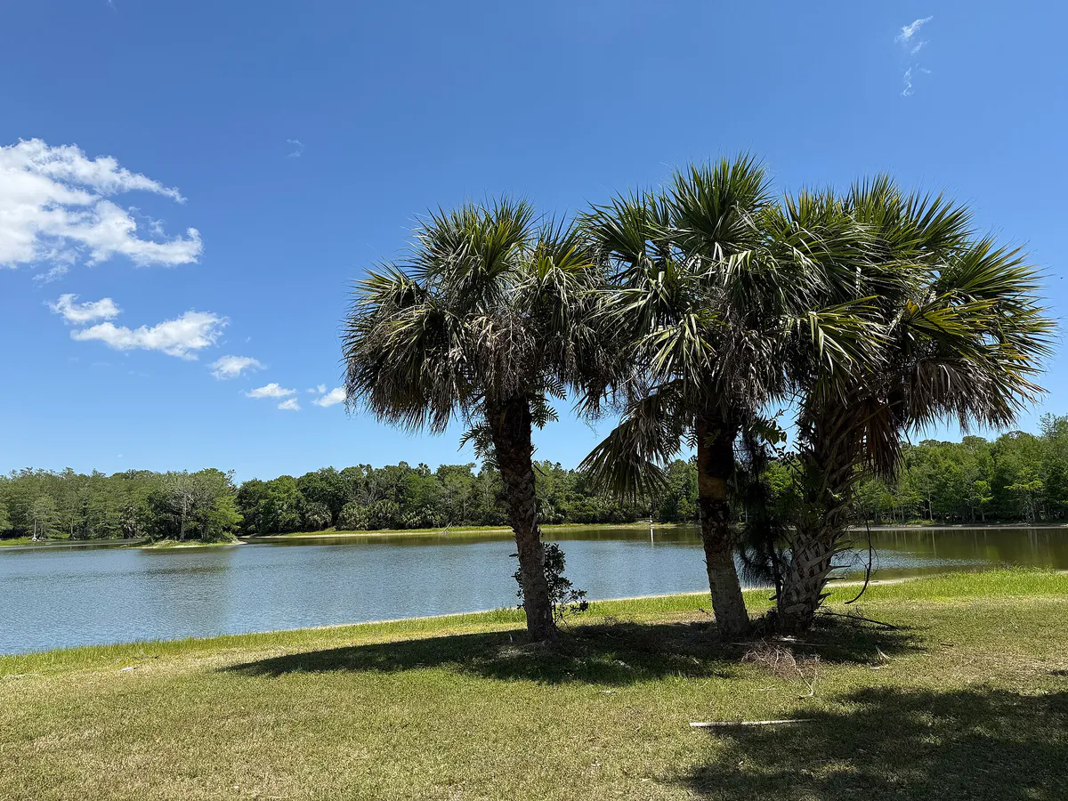 Cow Pen Lake in Riverbend Park Jupiter FL, Florida