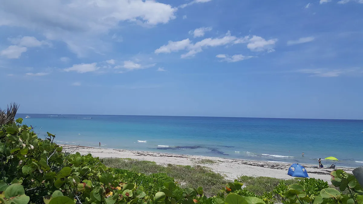 Ladder 38 @ Dog Beach in Jupiter, Florida