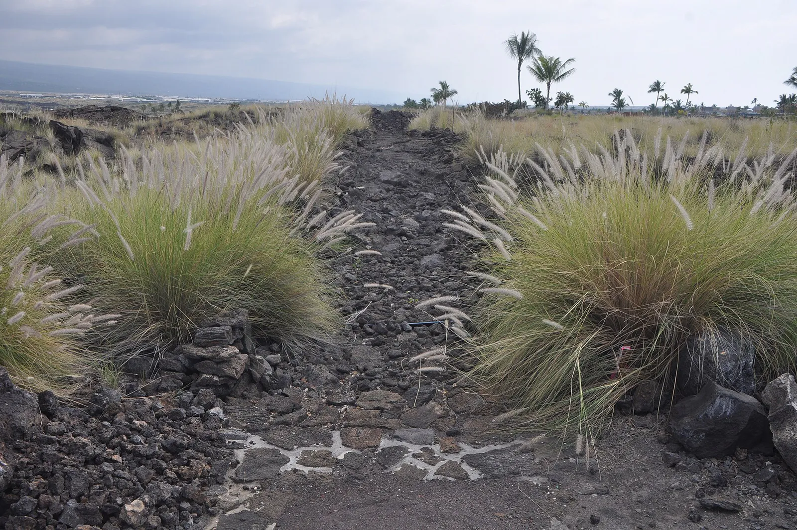 King's Trail in Kailua-Kona, Hawaii