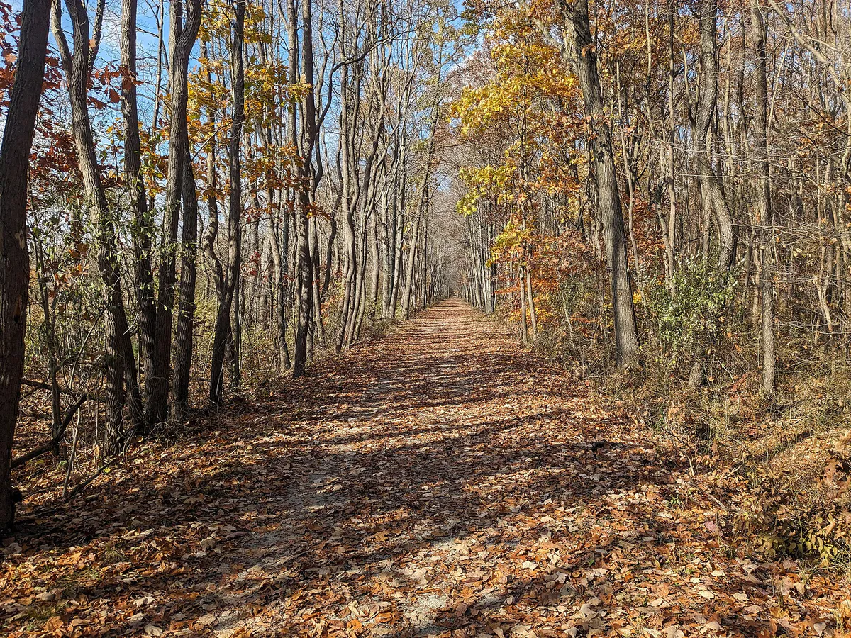 Kal-Haven Trail facing west in Kalamazoo, Michigan