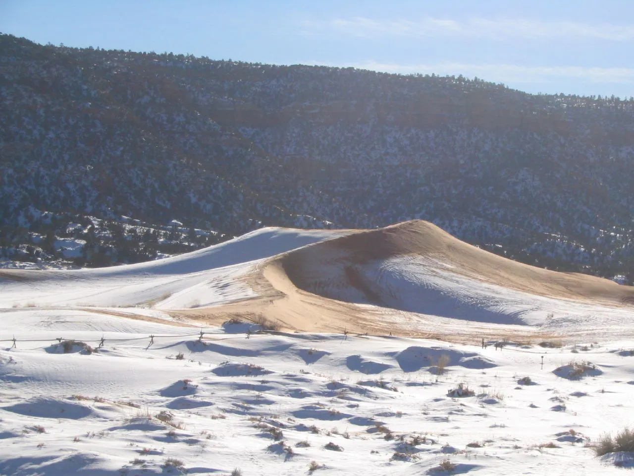 Coral Pink Sand Dunes State Park, near Kanab, Utah (68932728)