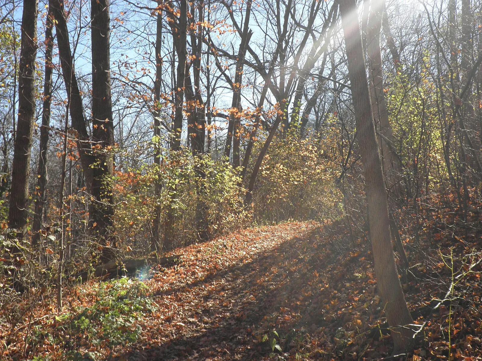 Petrifying Springs Kenosha Autumn, Wisconsin