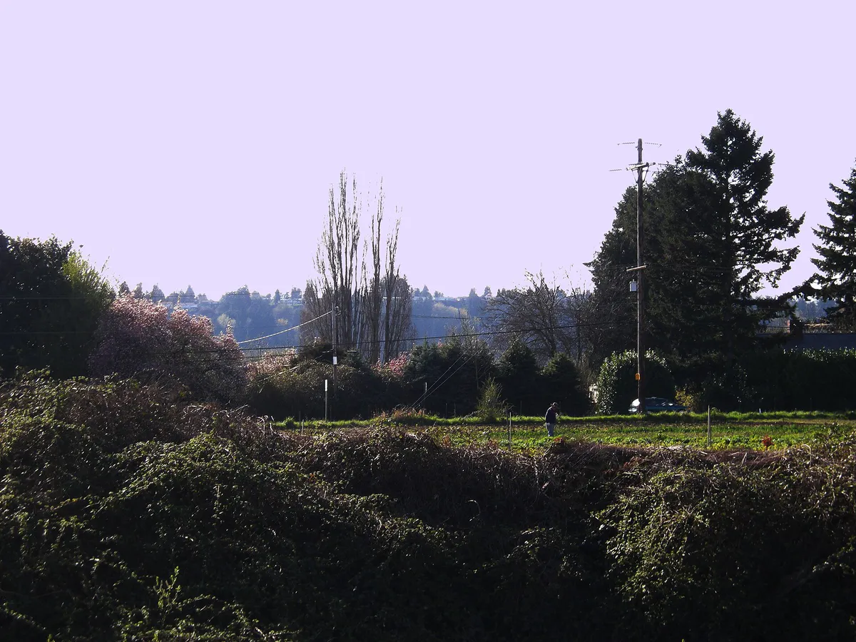 Kent, Washington - farmer along Green River 01