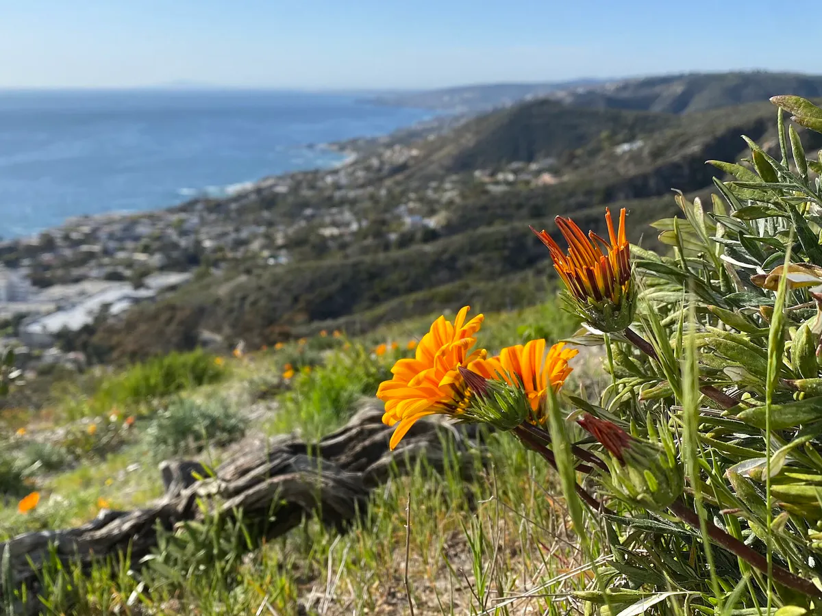 Badlands-park-laguna niguel, California