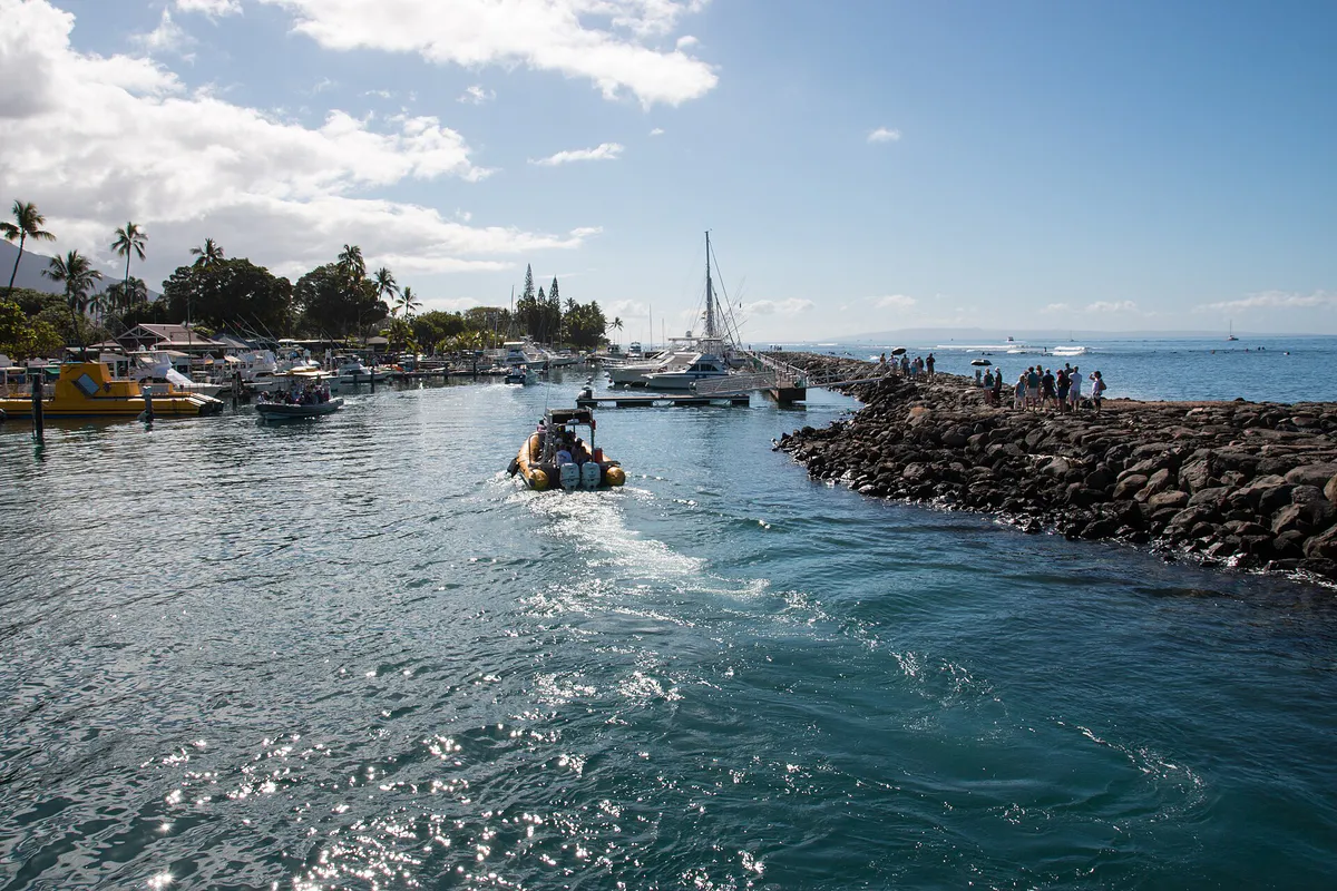 Lahaina Hawaii 2016 Harbor B