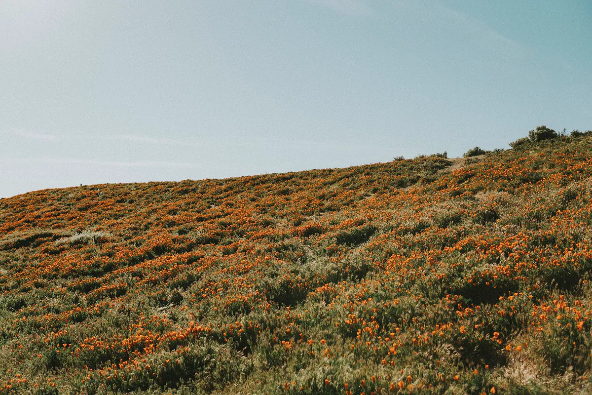 Antelope Valley, Lancaster, United States (Unsplash), California