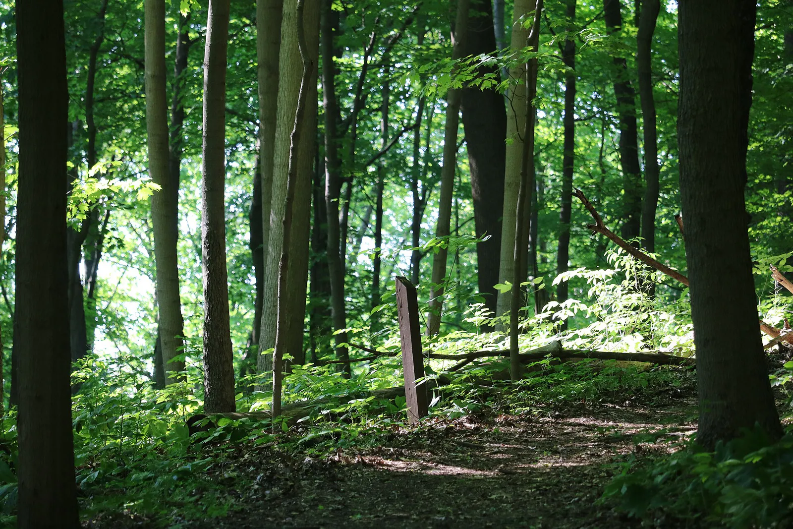 Charles Alley Nature Park (33992098678) in Lancaster, Ohio
