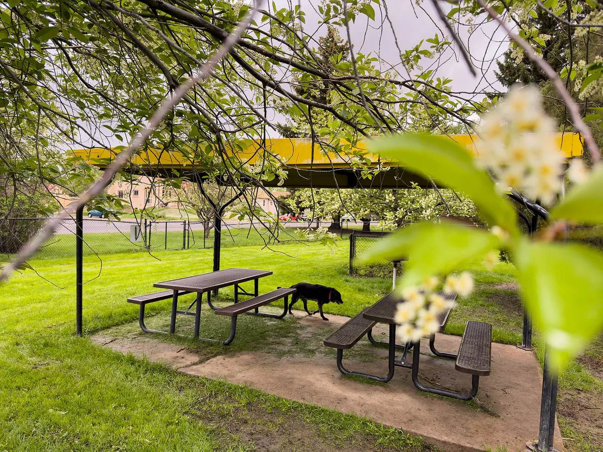Optimist Park in Spring - Laramie Wyoming (53076238970)