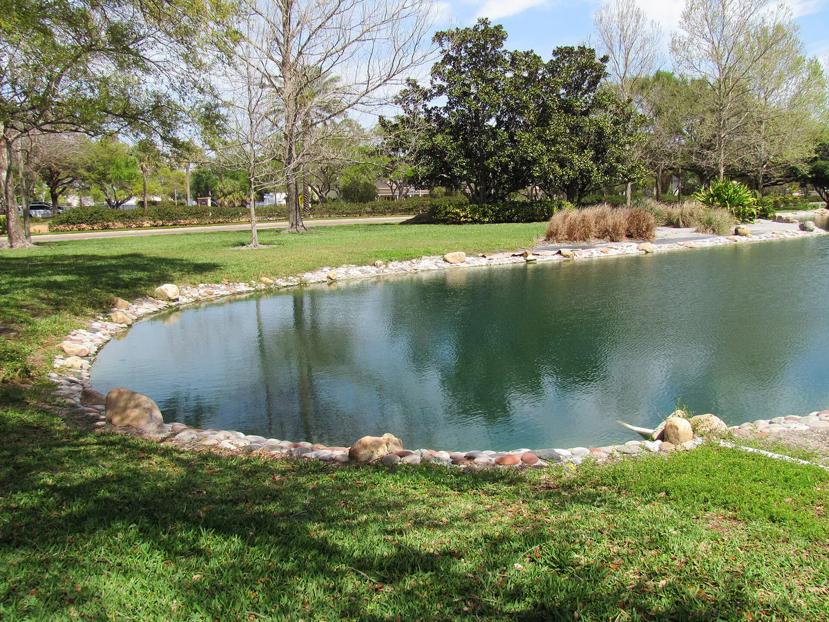 Pond behind Military Court of Honor in Largo Central Park, Largo, Florida, 10 March 2024 (01)