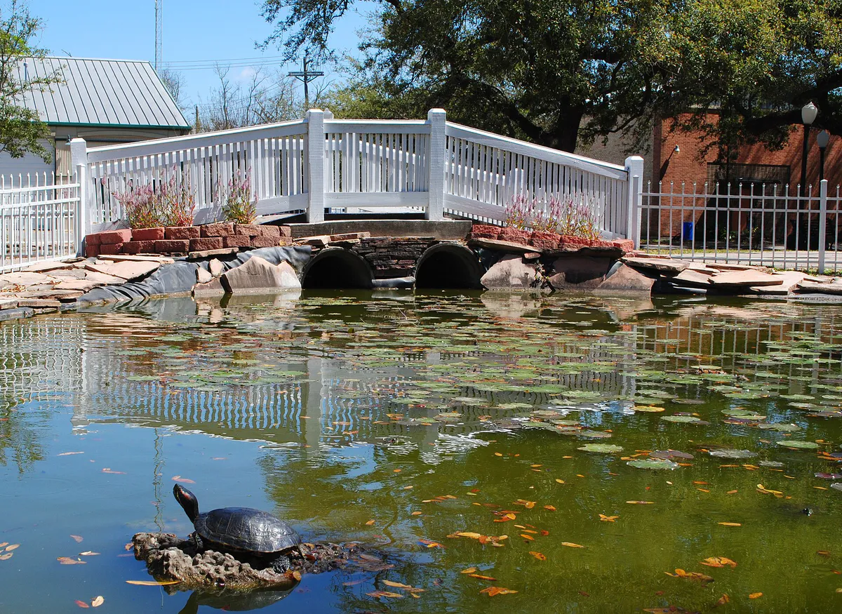 LeagueCityTX LeaguePark Bridge&LilyPond in League City, Texas