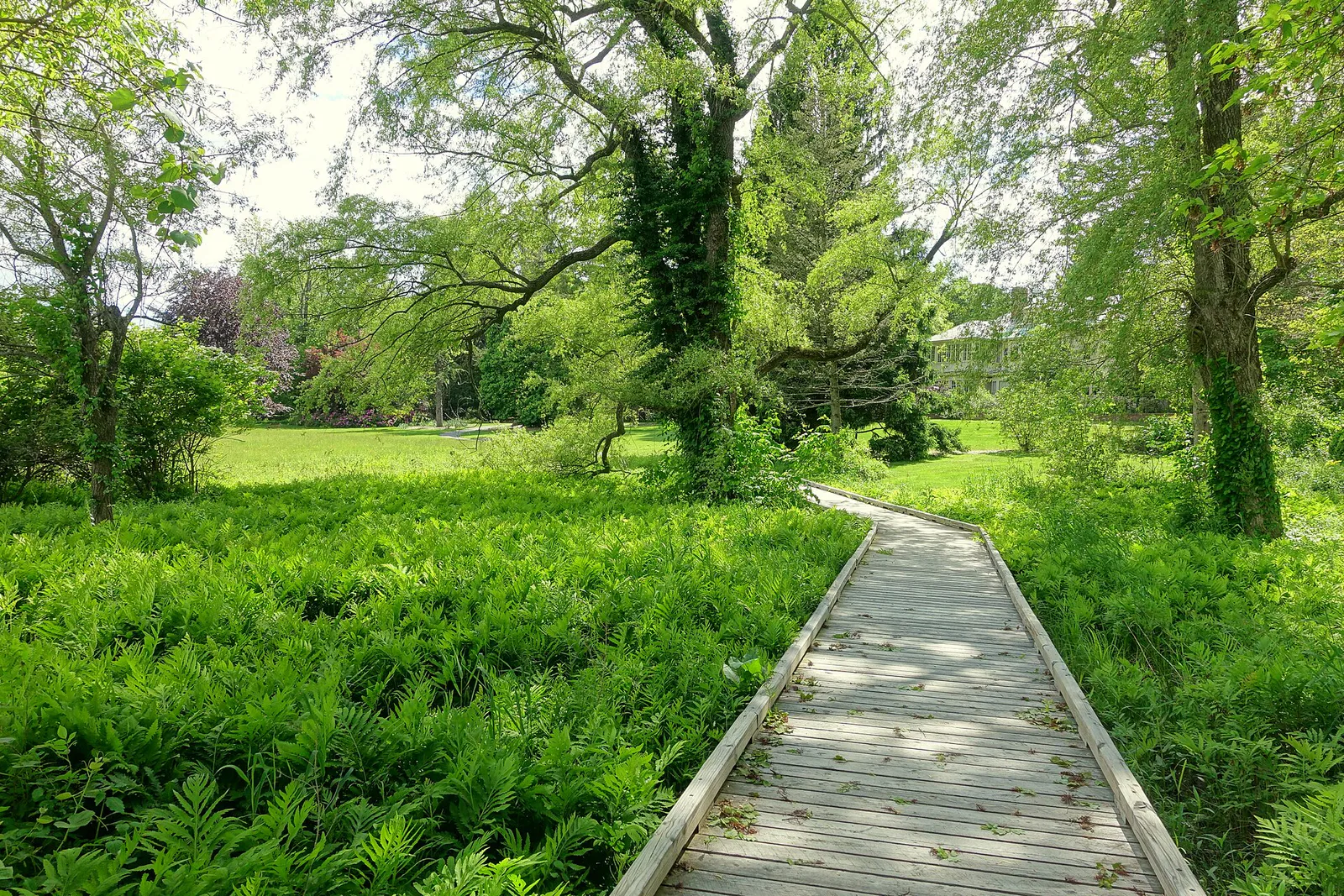 Boardwalk - Doyle Community Park & Center - Leominster, Massachusetts - DSC06354