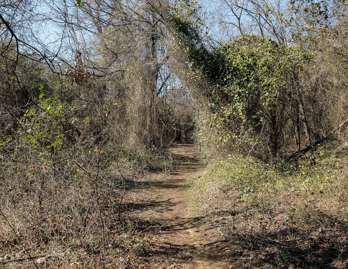Side trail of the Timber Creek Trail in Lewisville, Texas · 2023-02-11-3791
