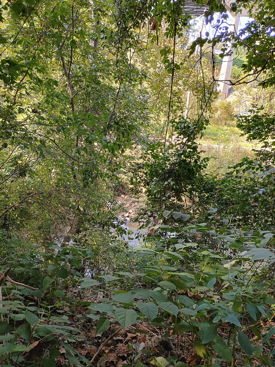 Josiah Holbrook's death site 01 in Lynchburg, Virginia