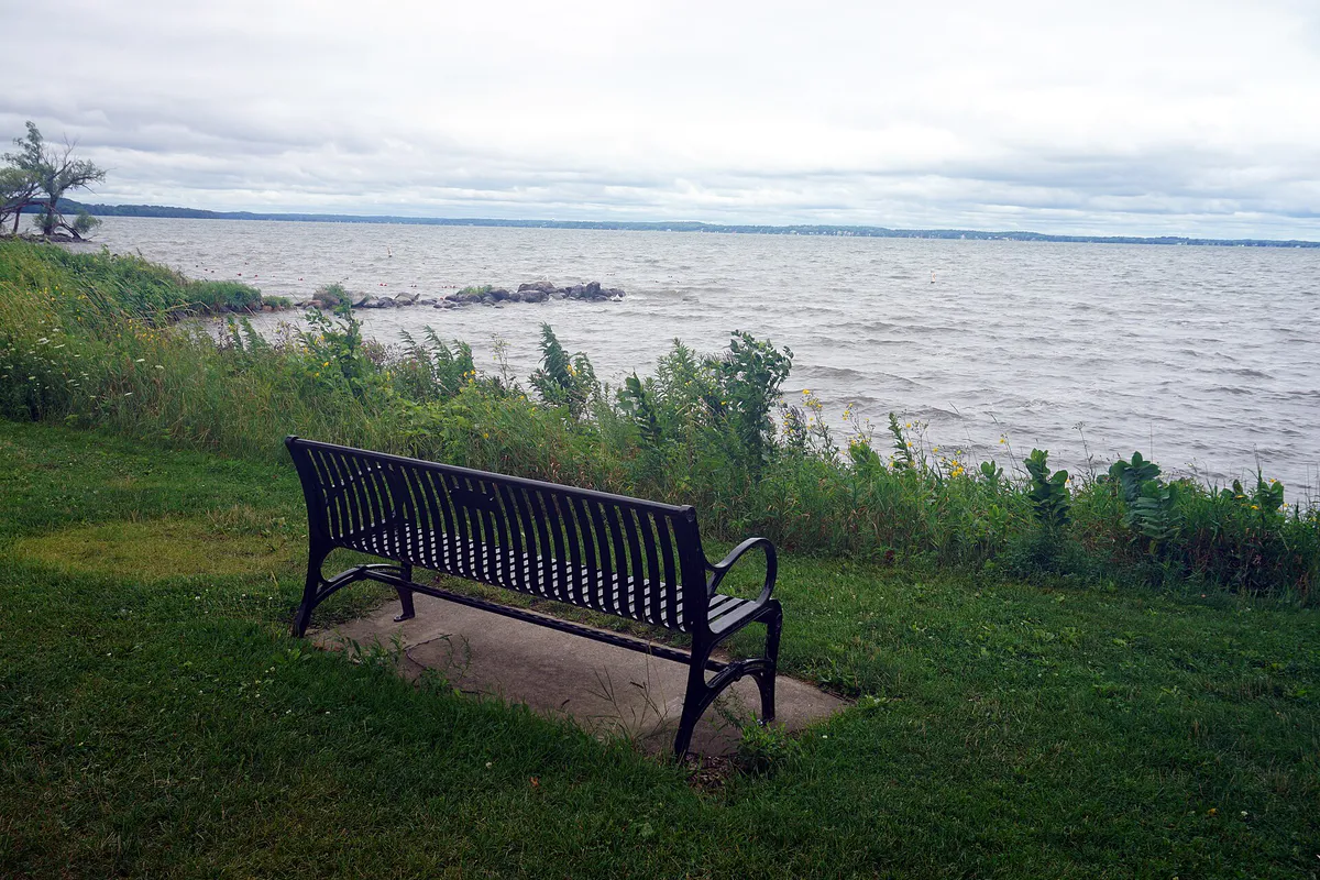 Madison August 2022 013 (bench at Tenney Park), Wisconsin