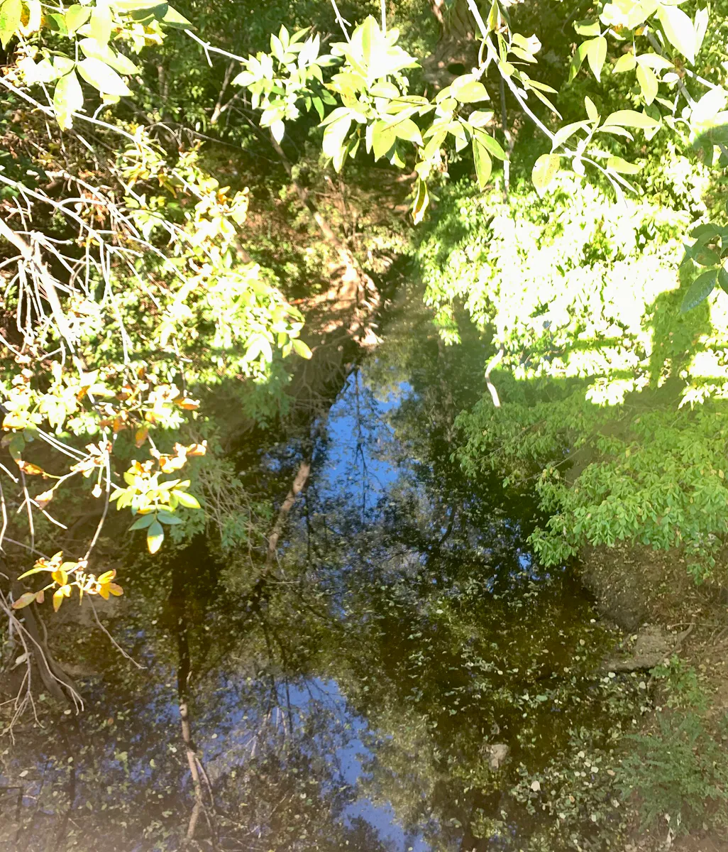 WalnutCreekMansfieldTX, Texas