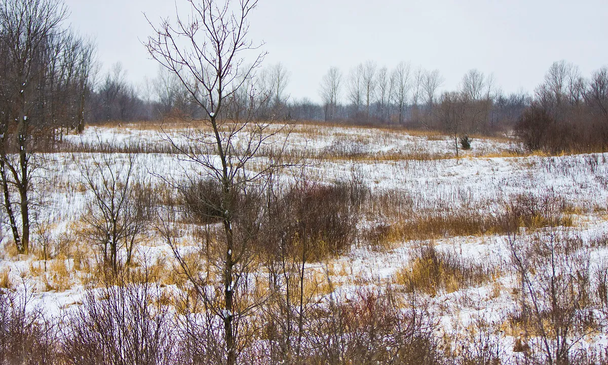 Elm Creek Park Reserve Minnesota 2352647131 o in Maple Grove, Minnesota