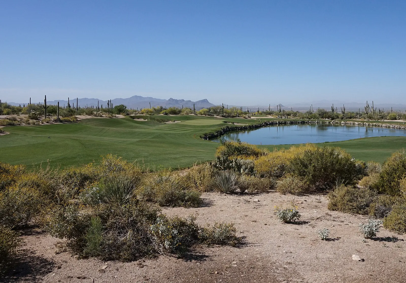 The Golf Club at Dove Mountain (Saguaro) no 3 in Marana, Arizona