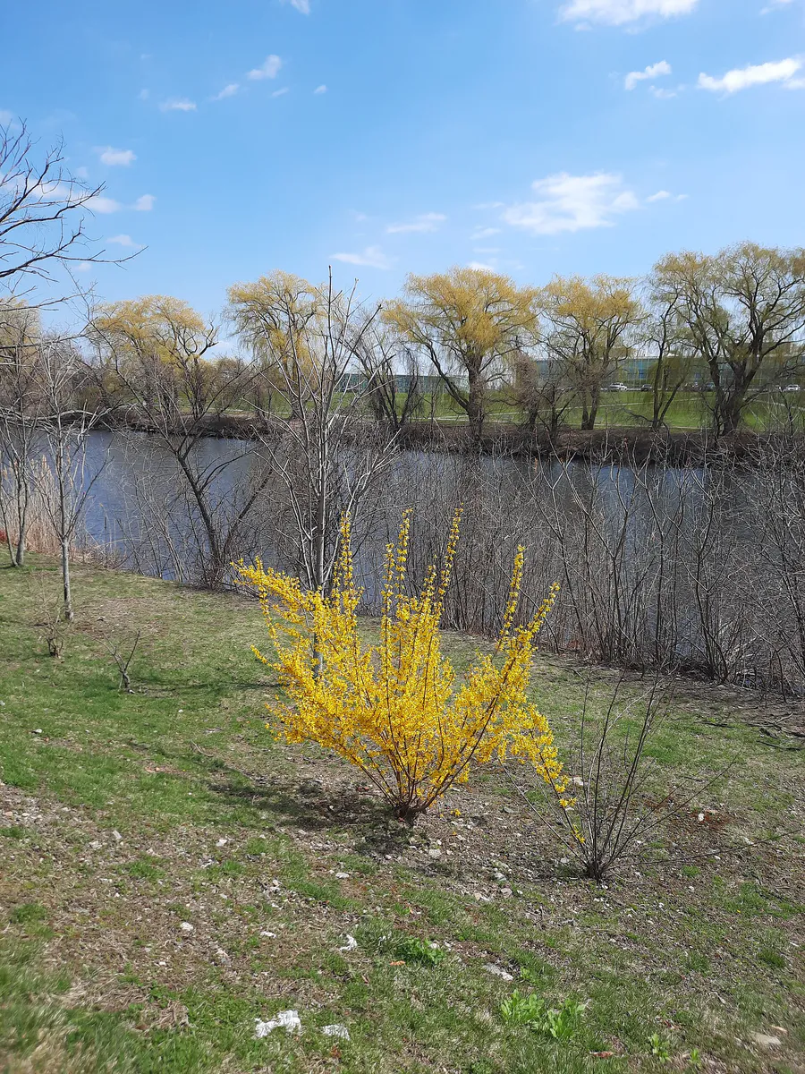 Malden River Medford MA April 2024, Massachusetts
