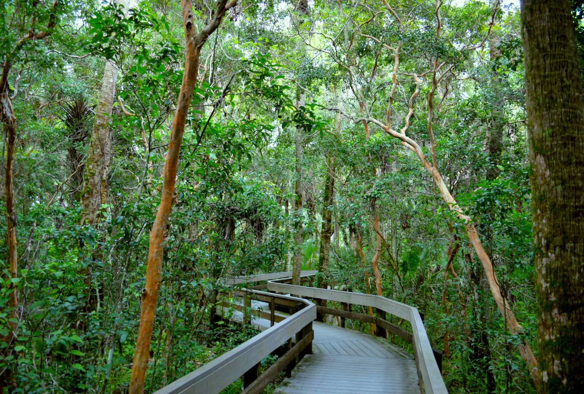 Erna Nixon Park Boards in Melbourne, Florida