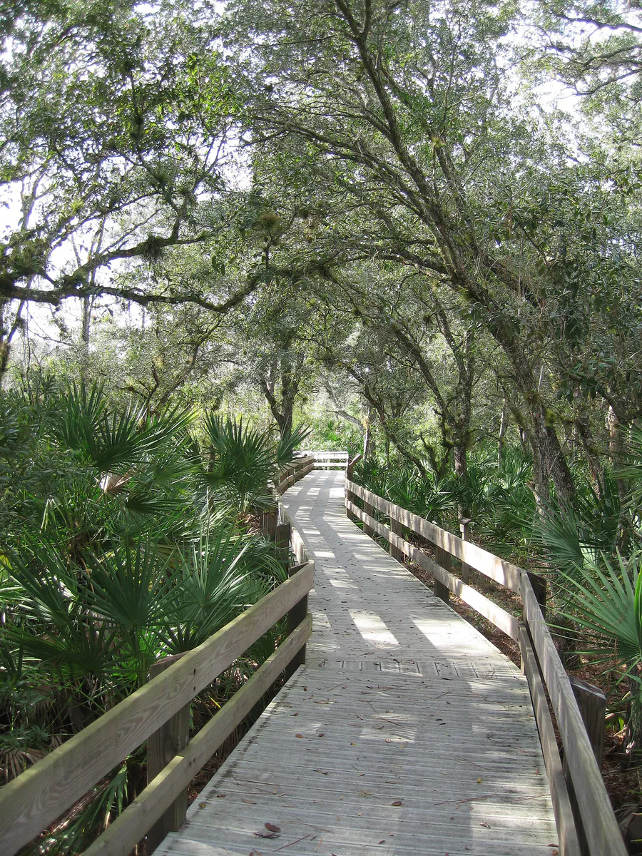 Erna Nixon Park Boardwalk 1 in Melbourne, Florida