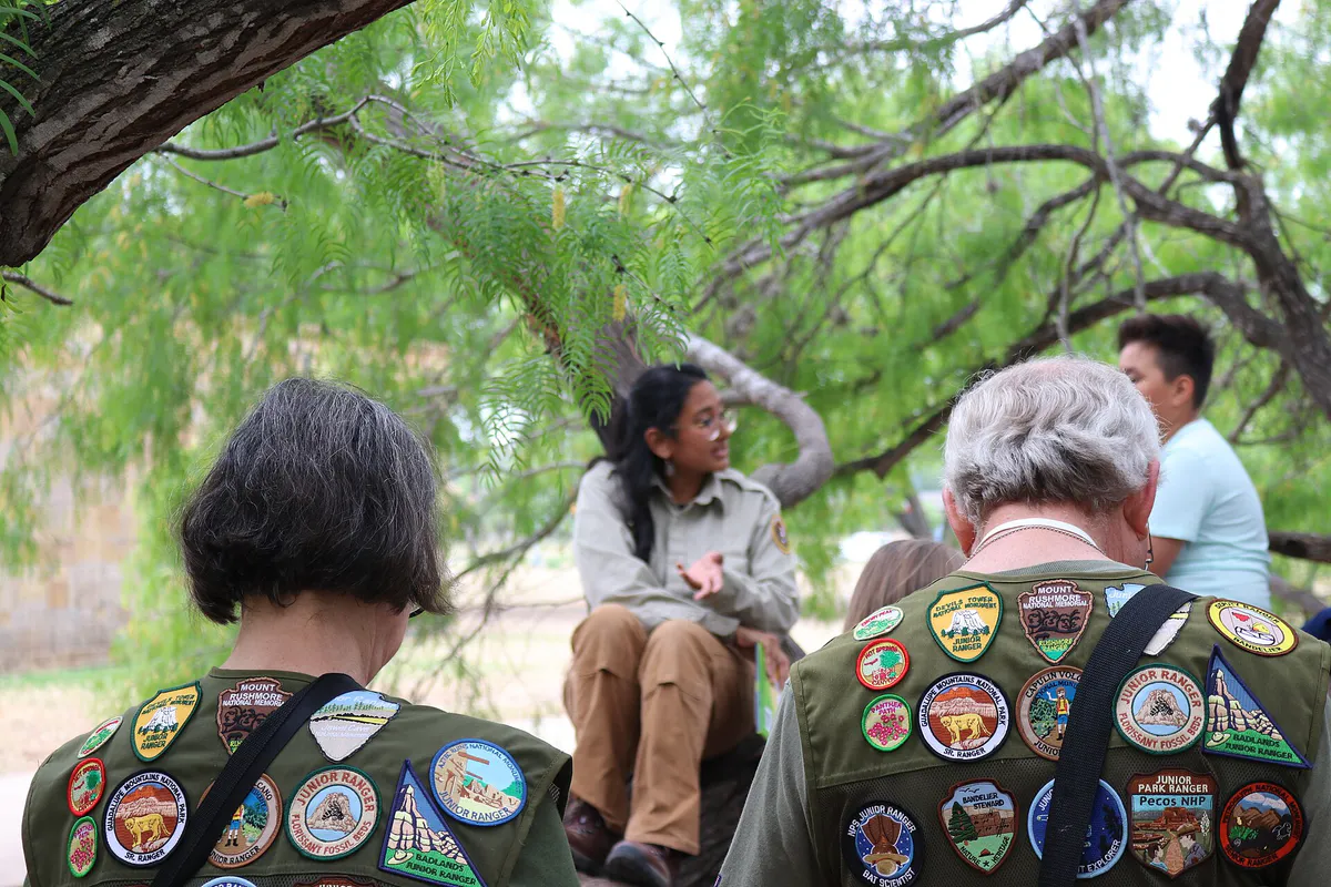 Vests covered in park patches under a mesquite tree. (fd914f64-38d7-4c84-bffb-b4087e4c58eb), Texas