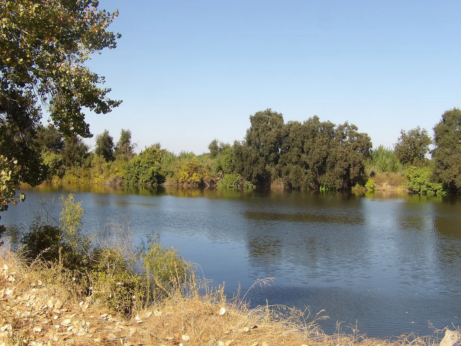 Dos Rios State Park pond in Modesto, California