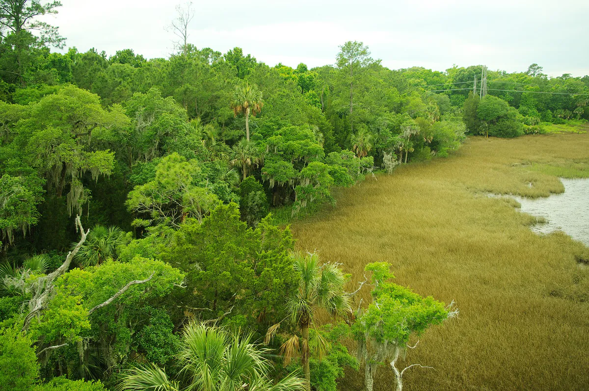 Palmetto-islands-park-tower-west-sc1 in Mount Pleasant, South Carolina