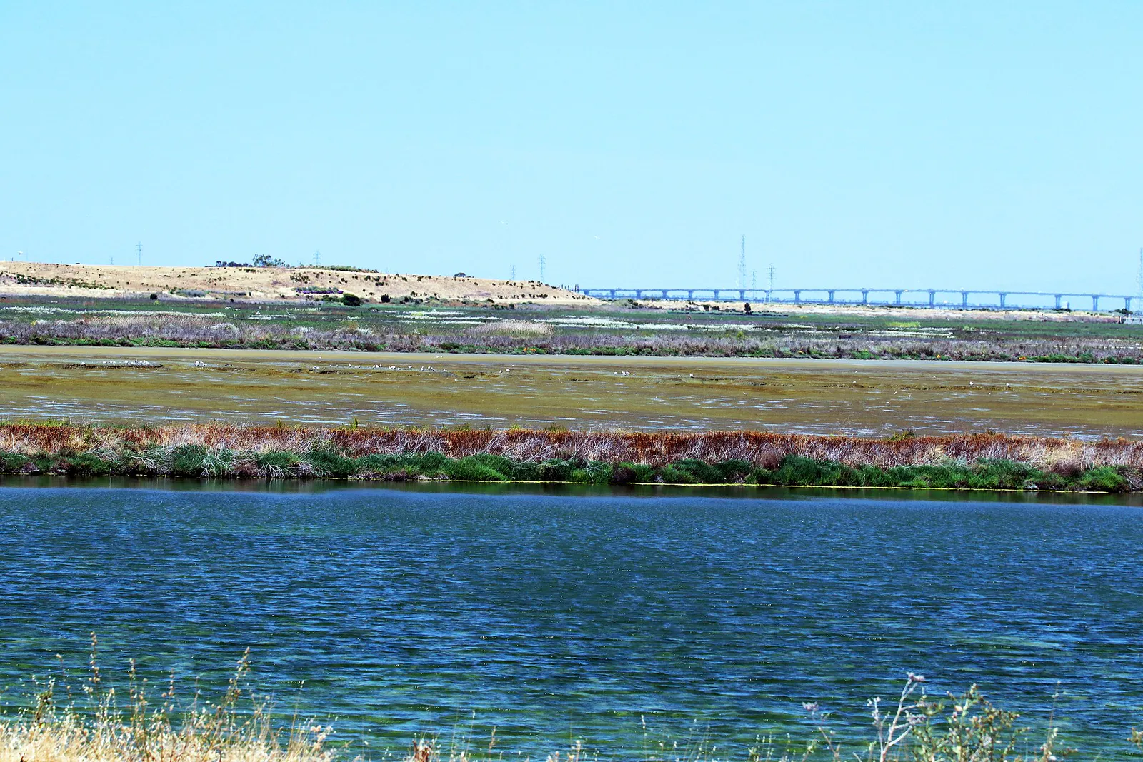 Shoreline Park Mountain View California IMG 2490