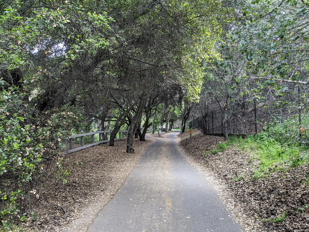 Stevens Creek Trail in Mountain View, California
