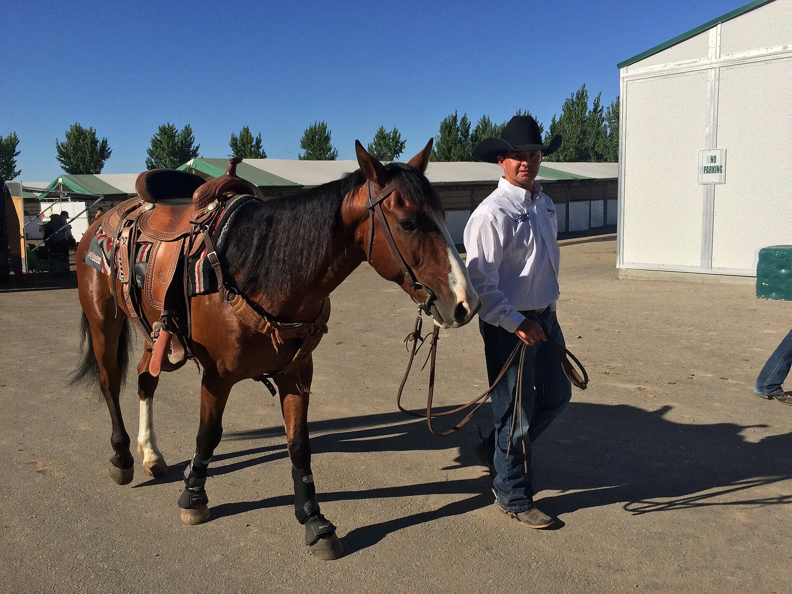 Idaho Wild Horse and Burro (27839641933) in Nampa, Idaho
