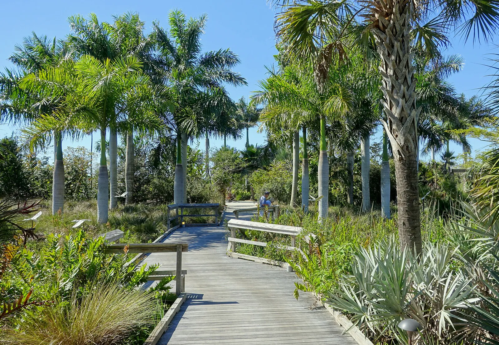 Boardwalk - Naples Botanical Garden - Naples, Florida - DSC09971