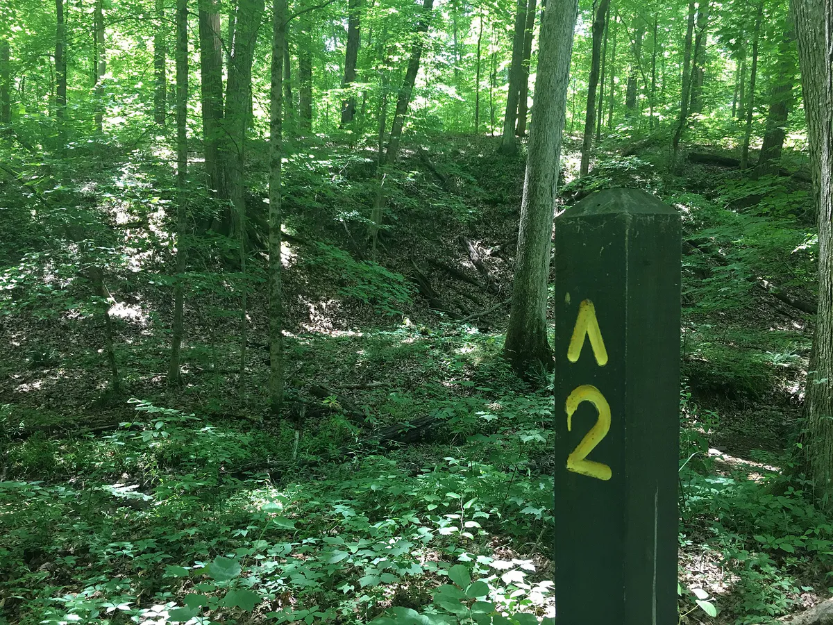 Brown County State Park - 35416831915 in Nashville, Indiana