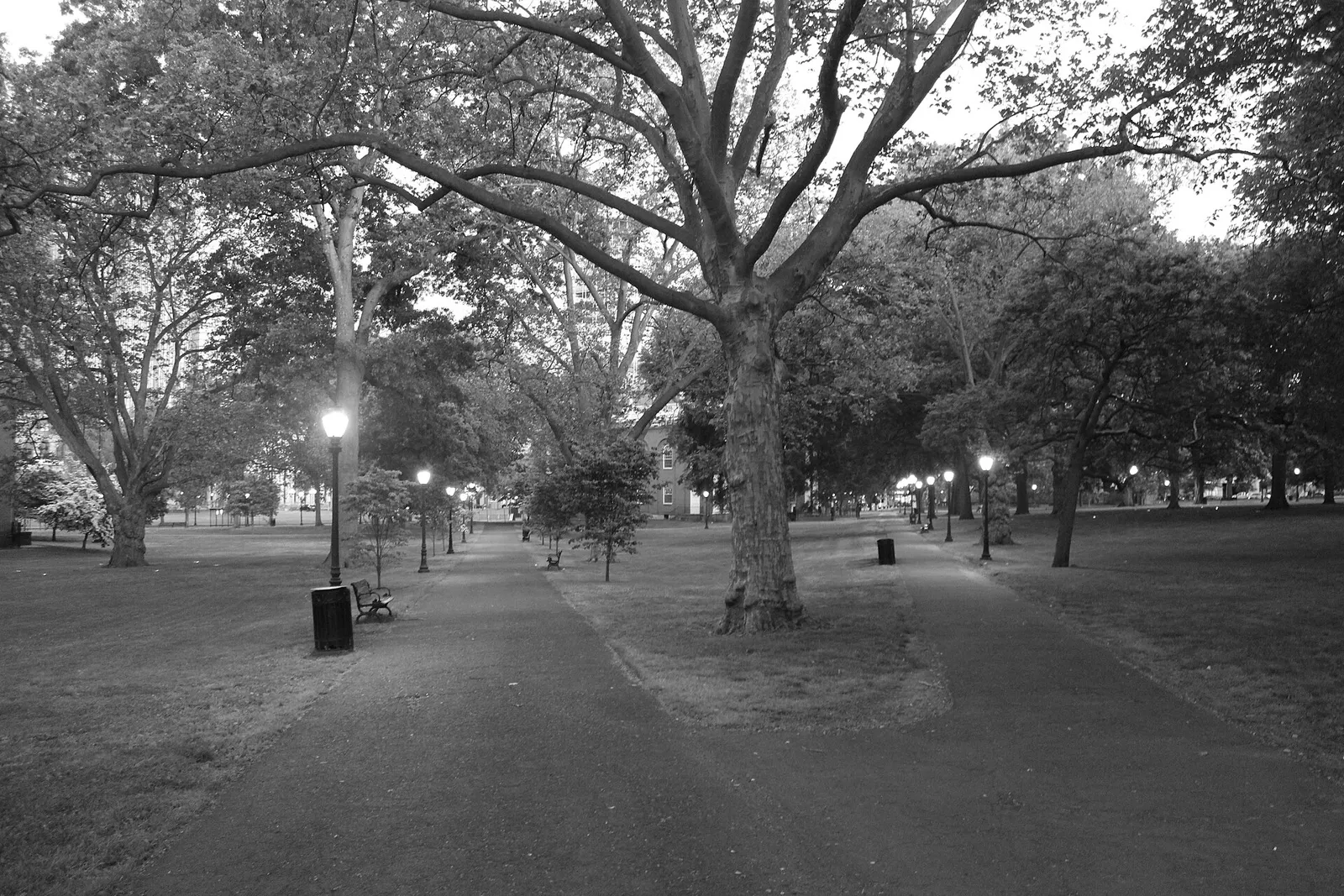 New Haven Green BW 01, Connecticut
