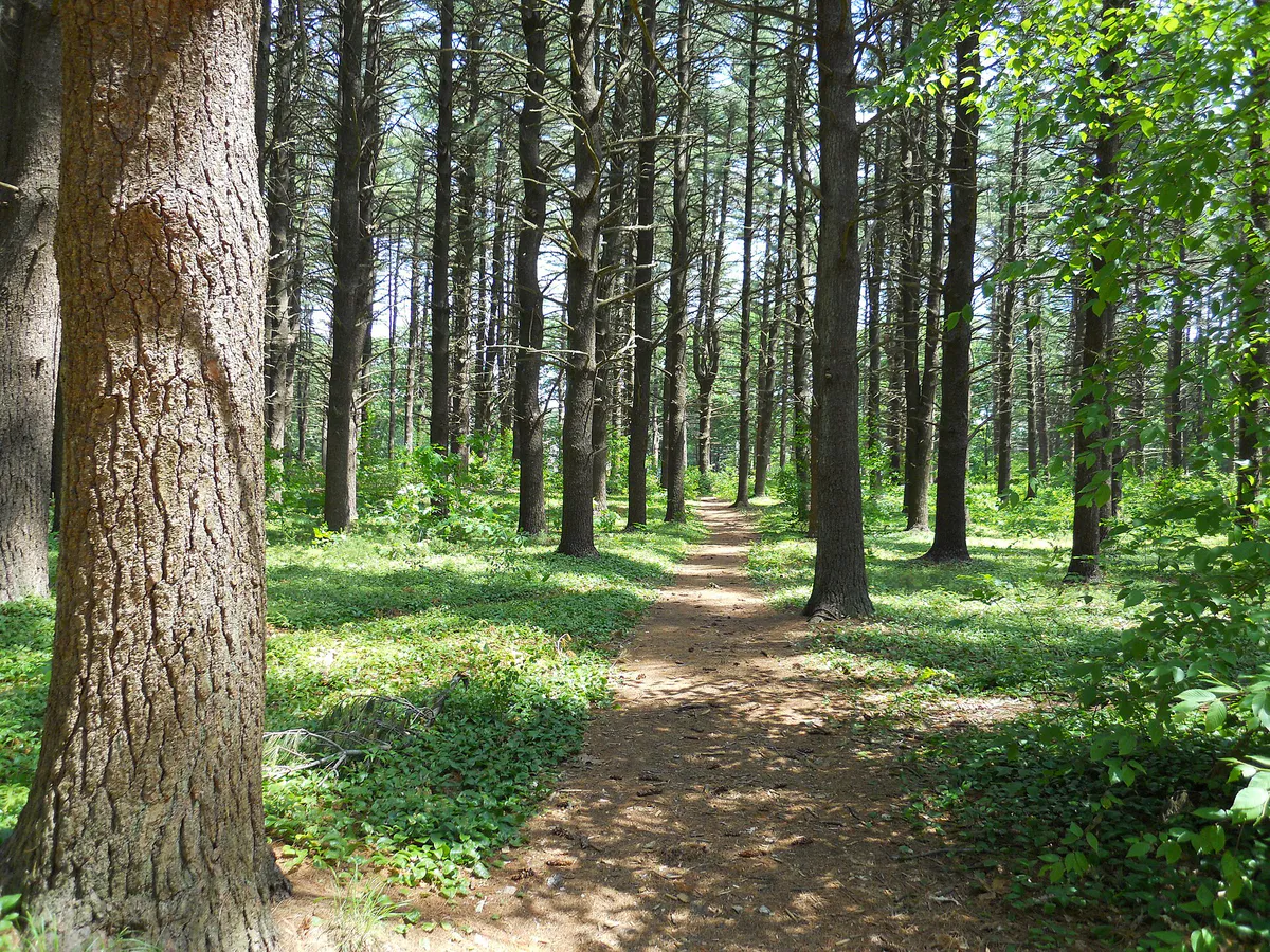 Maudslay running trail 1 in Newburyport, Massachusetts