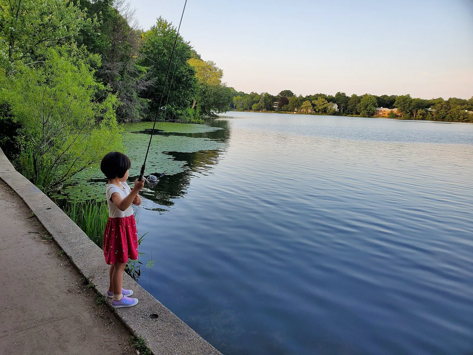 Crystal Lake 20190726 191642 in Newton, Massachusetts