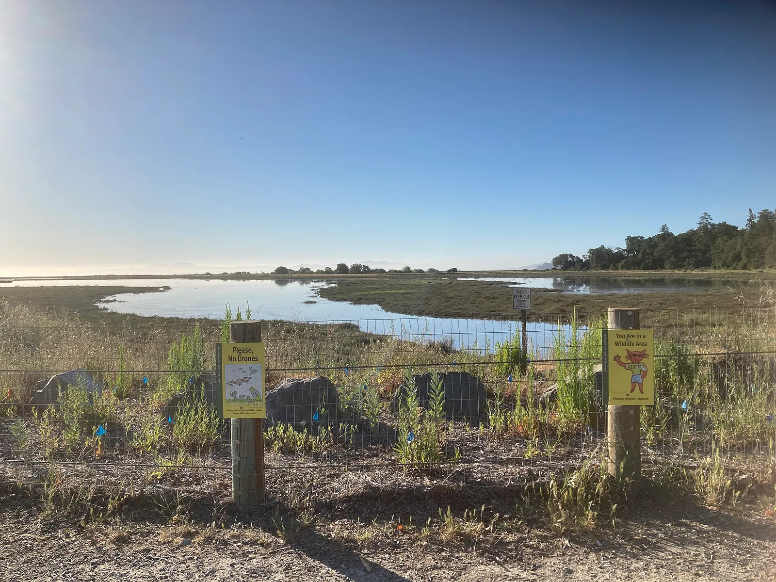 Bay Trail on Hamilton Field, with San Francisco skyline in the distance in Novato, California