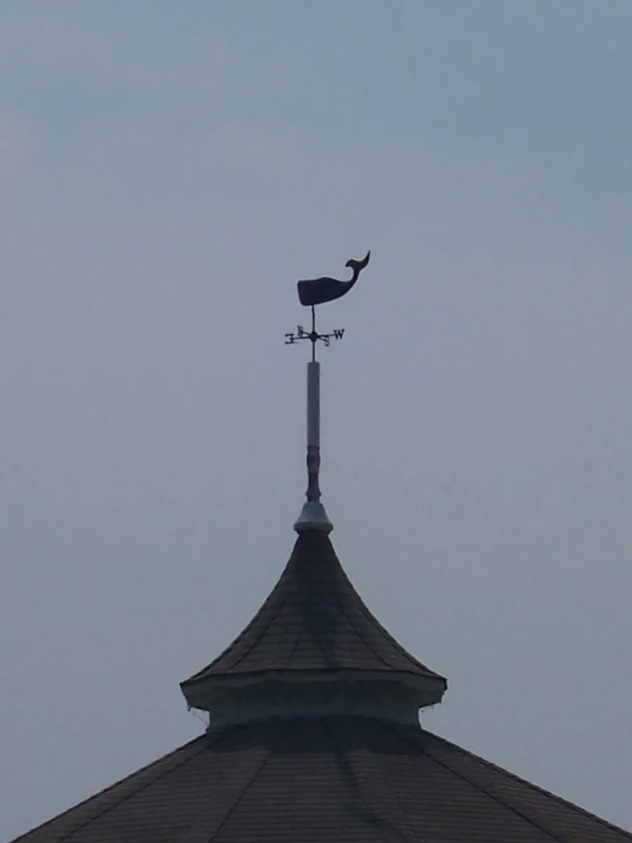 Whale weather vane Marthas Vineyard in Oak Bluffs, Massachusetts