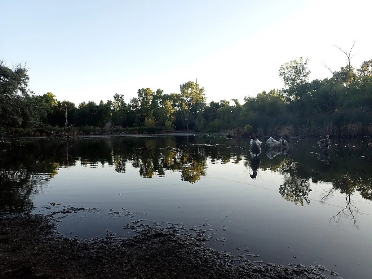 US Utah Ogden Beus Park
