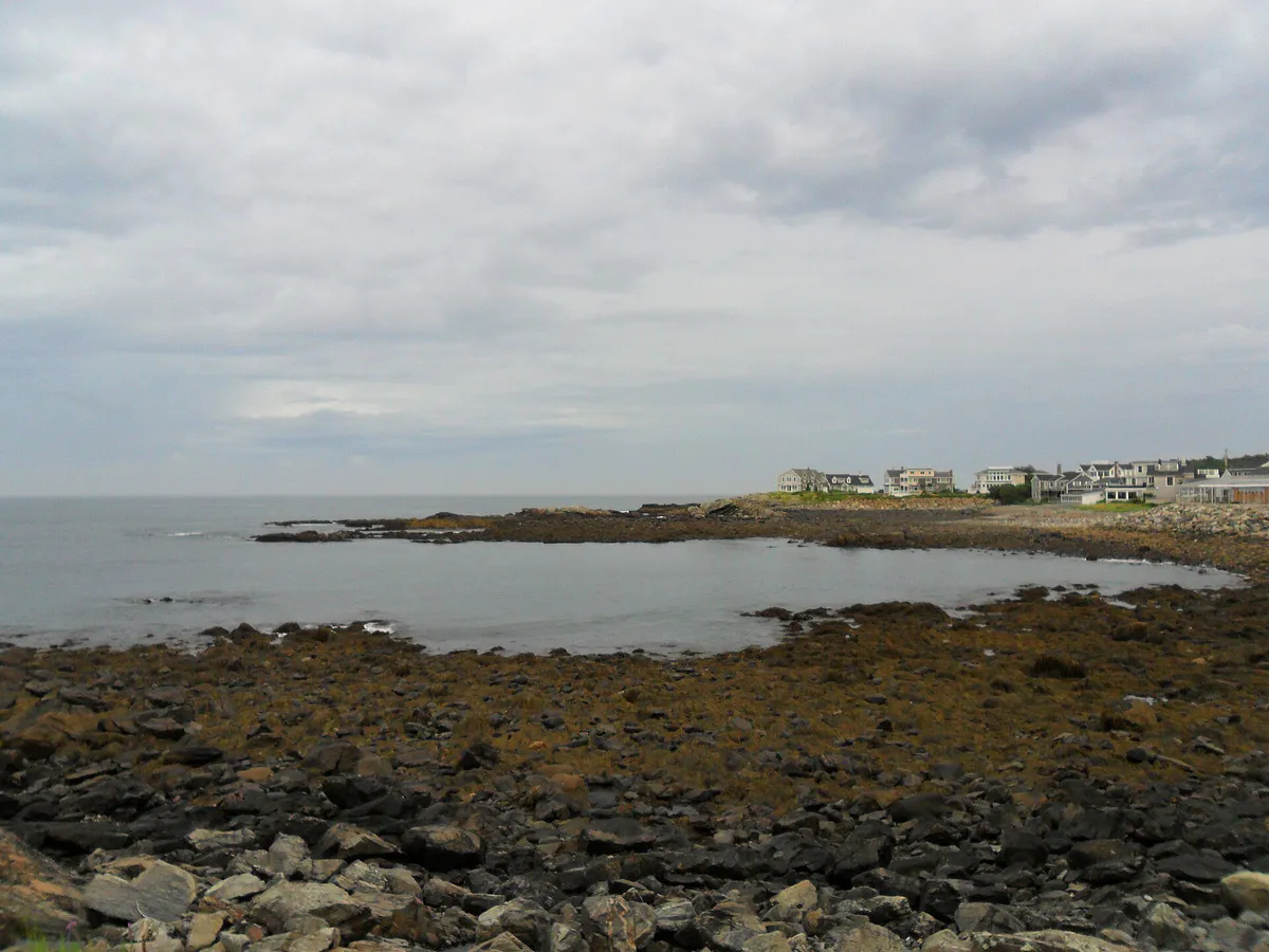 Low Tide Oarweed cove Marginal Way Ogunquit Maine